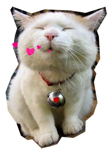 😘 Стикер «Caters Gonna Cate» для Telegram