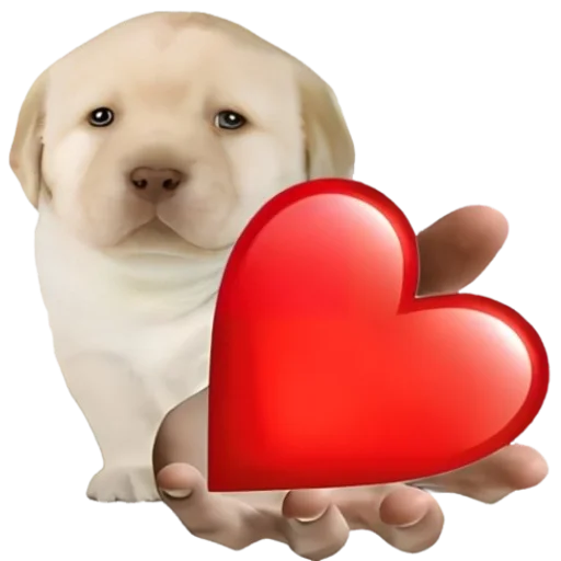 ❤️ Стикер «doggies» для Telegram