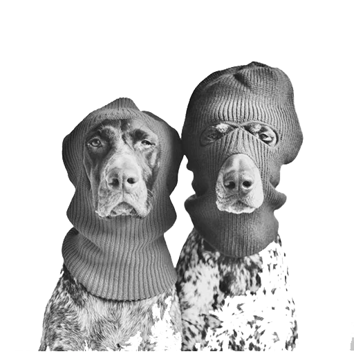 Стикерпак dogs! для Telegram — скачать