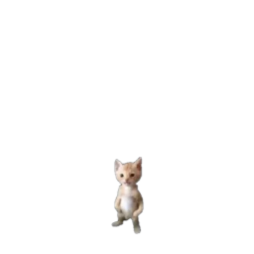 🐈 Стикер «Стікери чела з Оболоні» для Telegram
