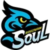 🏀 Эмодзи «NBA - логотипы команд» для Telegram