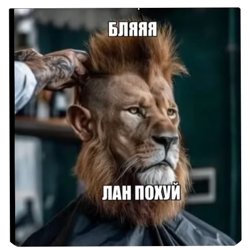 🦁 Стикер «актуалочка» для Telegram