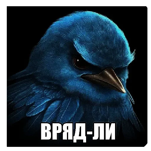🐦 Стикер «актуалочка» для Telegram