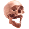 🤩 Эмодзи «Cherry Spirit Emoji» для Telegram