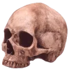 🤩 Эмодзи «Cherry Spirit Emoji» для Telegram