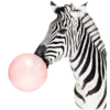 🫧 Эмодзи «Bubble gum» для Telegram