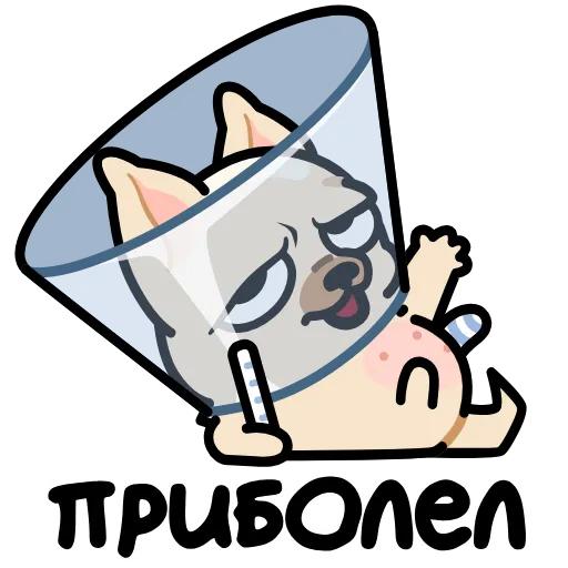 🤩 Эмодзи «Чихуа» для Telegram