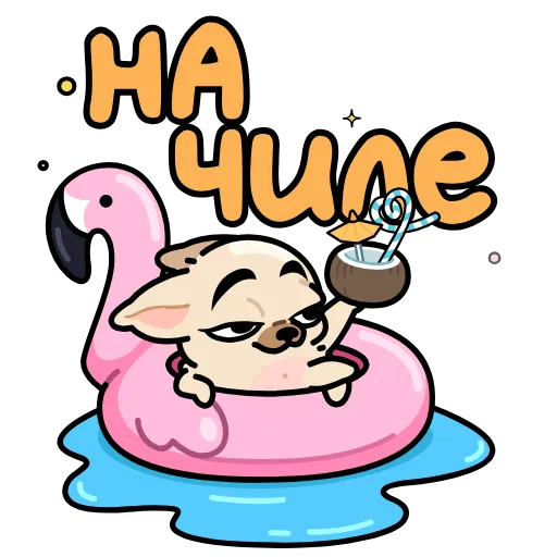 🤩 Эмодзи «Чихуа» для Telegram