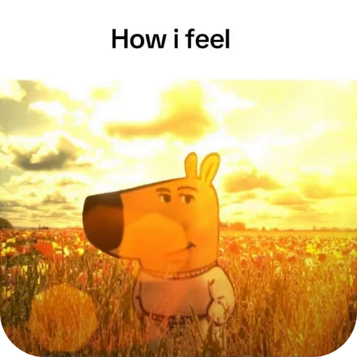 Стикерпак chill guy для Telegram — скачать
