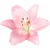 🌷 Эмодзи «Мили Эмоджи Tg» для Telegram