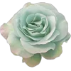 🤩 Эмодзи «choco & mint» для Telegram