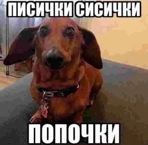 🤩 Стикер «Чозапомои» для Telegram