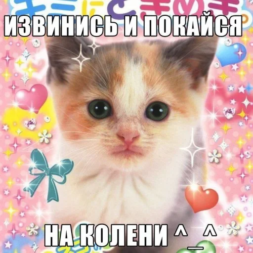 😡 Стикер «Чозапомои» для Telegram