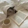🐈‍⬛️ Эмодзи «smm & beauty» для Telegram