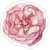 🌸 Эмодзи «Christianity» для Telegram