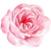 🌹 Эмодзи «Christianity» для Telegram