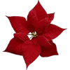 🤩 Эмодзи «🤩 christmas» для Telegram