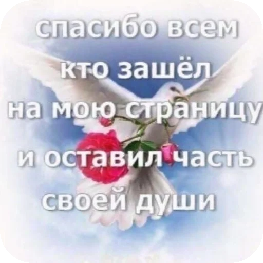 Стикерпак Чсв для Telegram — скачать