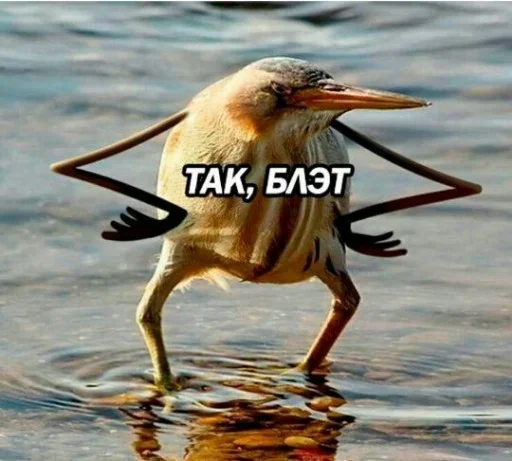 😙 Стикер «Что за срач» для Telegram