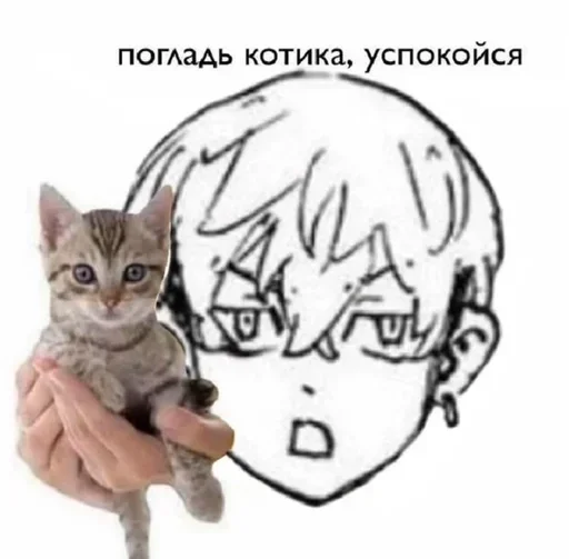 🌟 Стикер «Chifuyu Matsuno» для Telegram
