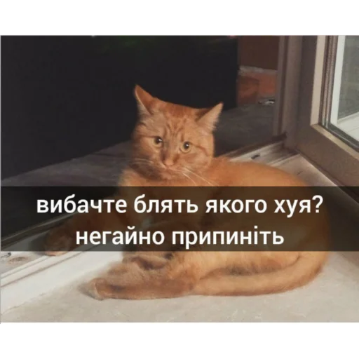 😃 Стикер «юкрейн мєм» для Telegram