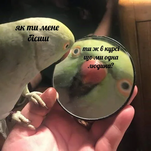 😃 Стикер «юкрейн мєм» для Telegram