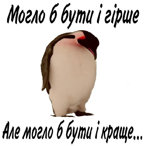 🐧 Стикер «юкрейн мєм» для Telegram