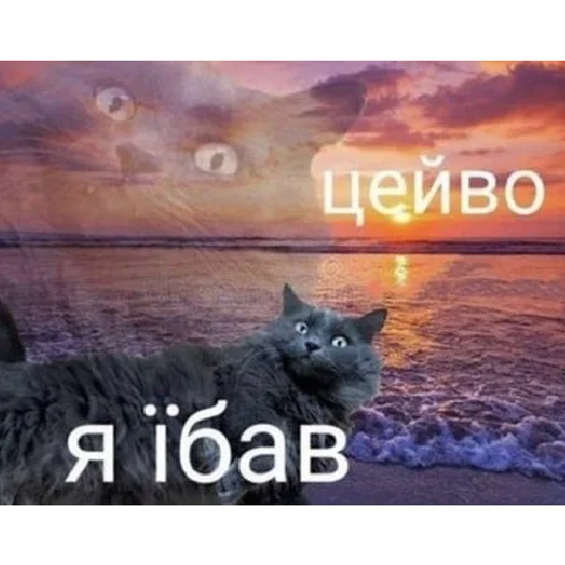 🚬 Стикер «юкрейн мєм» для Telegram
