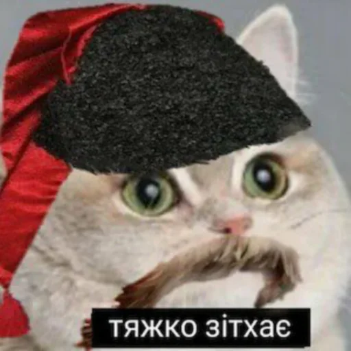 😩 Стикер «юкрейн мєм» для Telegram
