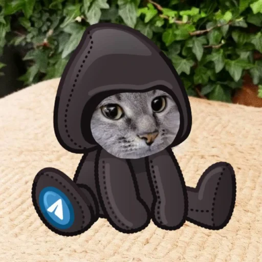 🤩 Стикер «кот и куки» для Telegram