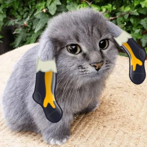 🤩 Стикер «кот и куки» для Telegram