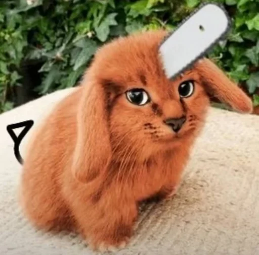 🤩 Стикер «кот и куки» для Telegram