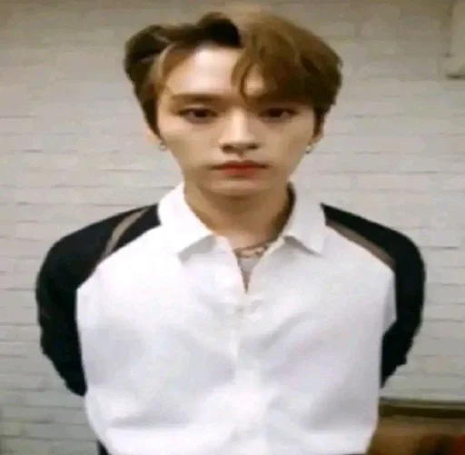 👏 Стикер «stray kids memes» для Telegram