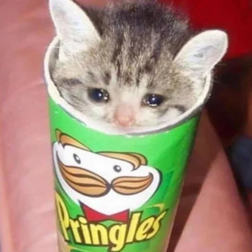 😢 Стикер «closticks10!» для Telegram