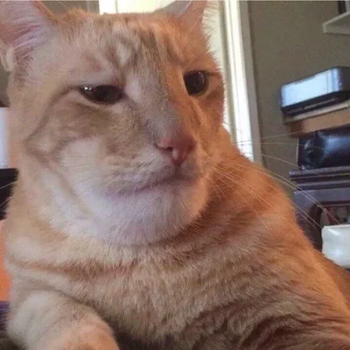 😼 Стикер «closticks12!» для Telegram