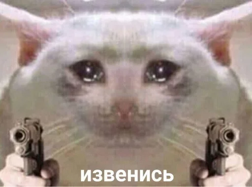😼 Стикер «closticks12!» для Telegram