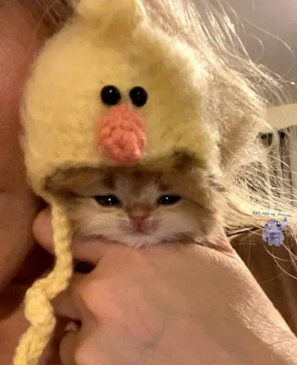 😭 Стикер «closticks9!» для Telegram