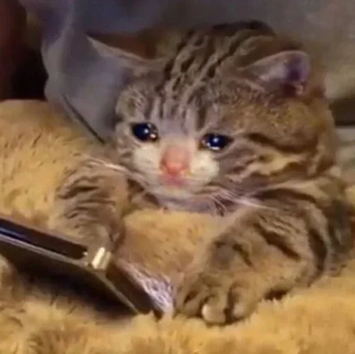 😢 Стикер «closticks9!» для Telegram