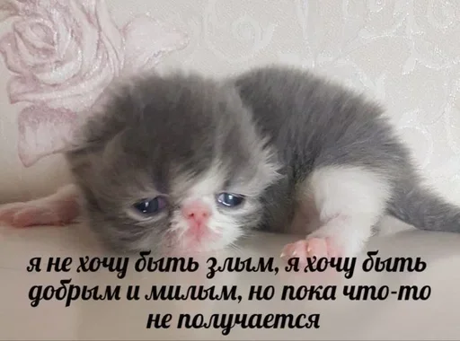 🥲 Стикер «closticks4!» для Telegram