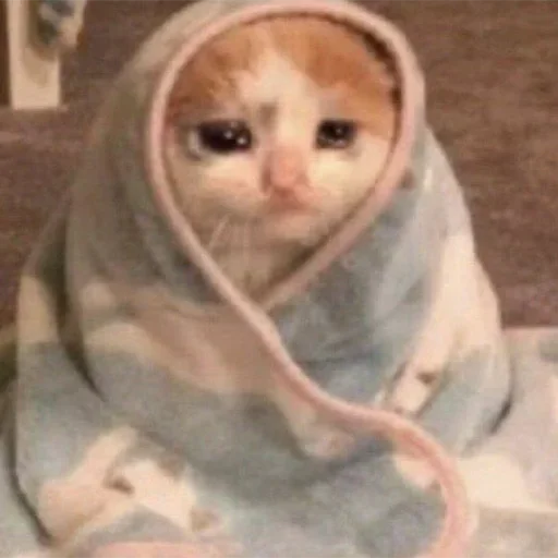 😭 Стикер «closticks3!» для Telegram