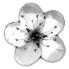 🌸 Эмодзи «Cloudy» для Telegram