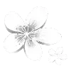 🌸 Эмодзи «Cloudy» для Telegram