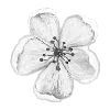 🌸 Эмодзи «Cloudy» для Telegram