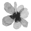 🌸 Эмодзи «Cloudy» для Telegram