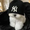 🌟 Эмодзи «Собачьки» для Telegram