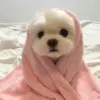 🌟 Эмодзи «Собачьки» для Telegram