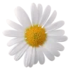 🌸 Эмодзи «Кетчуп» для Telegram