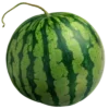 🍉 Эмодзи «Кетчуп» для Telegram