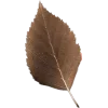 🤩 Эмодзи «Coffeean» для Telegram