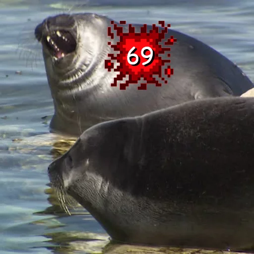 👊 Стикер «Seals Тюлени» для Telegram